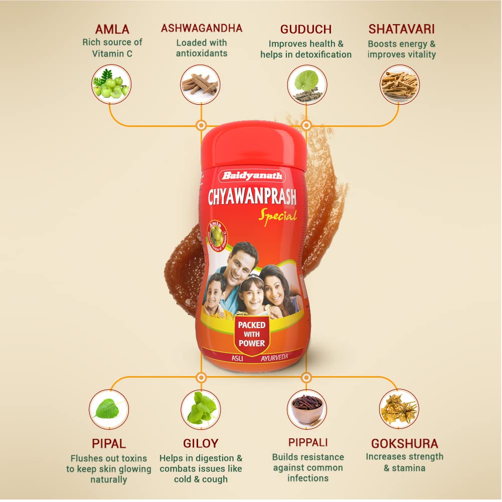 Baidyanath Kolkata Chyawanprash Special, 1 kg-3.webp